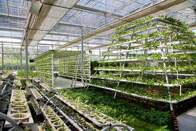 南京京禾农业怎么样?这家企业在当地颇有名气,下面我们通过对比的方式来看看它的优势与不足。
