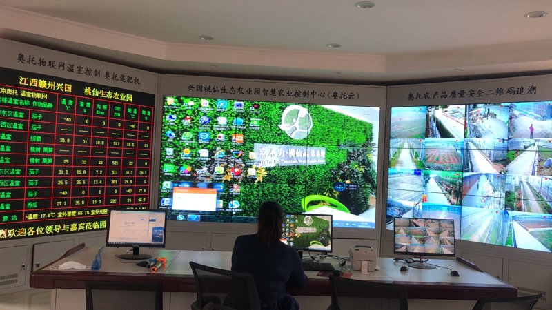 南京京禾农业发展有限公司——播种希望的种子
